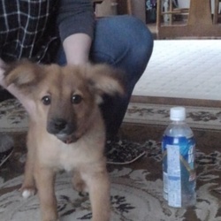 少し大きくなりました