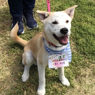 8ヶ月男の子 すかい