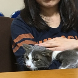 「その名は、ピン子」サムネイル1