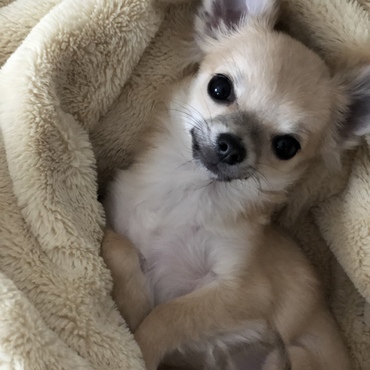 天使♪