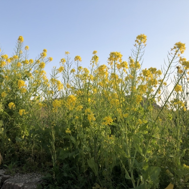 fururu1213のカバー写真