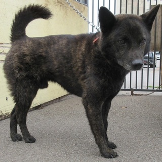 笑顔カワイイ甲斐くん