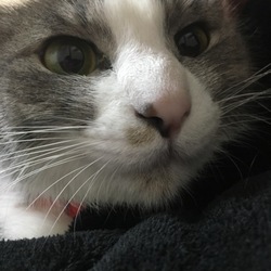 「褒めて伸ばす♩」サムネイル1