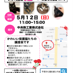 保護猫の譲渡会