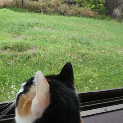 くすぐったいよー