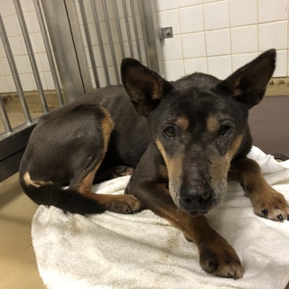 お迎えがありました。