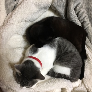 本当の姉妹みたい(●´ω｀●)