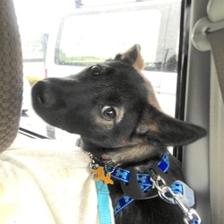 車もスーピーの隣❤