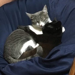 やっと出来た(*≧∀≦*)