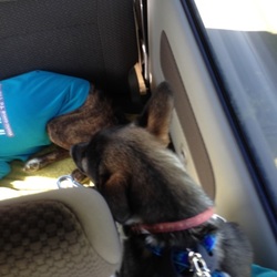 スライドドア開けたΣ（・□・；）