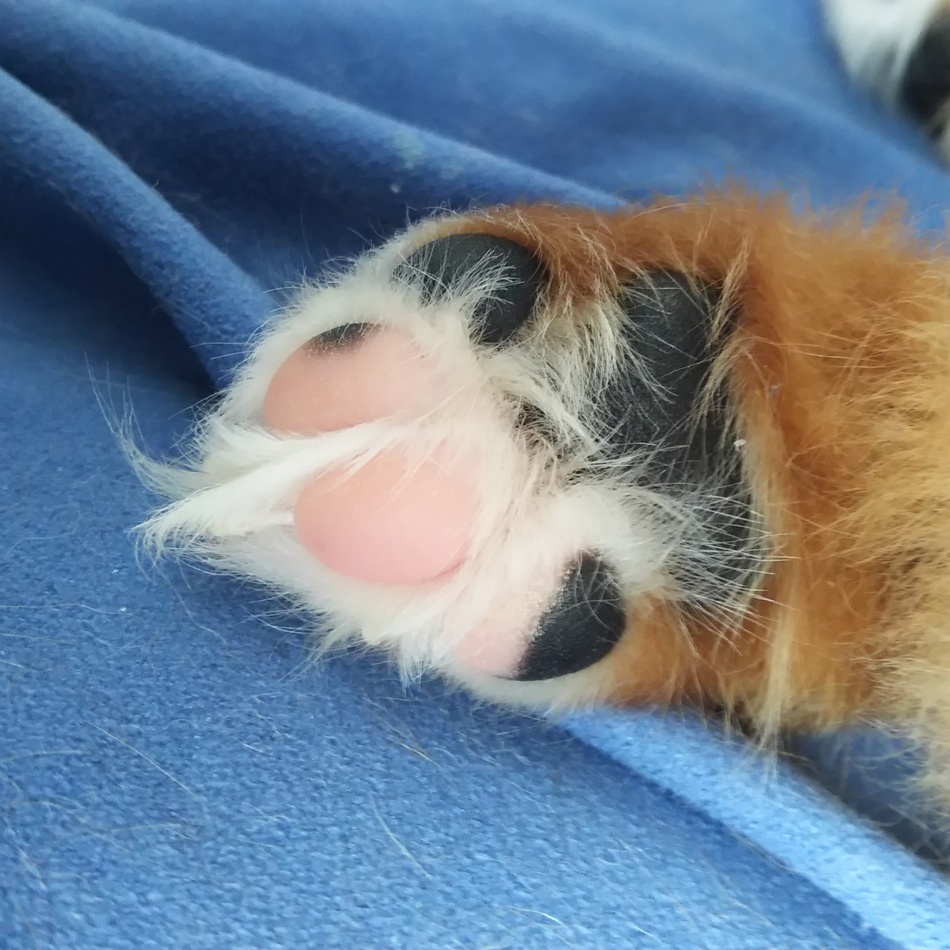 まめくんのカバー写真