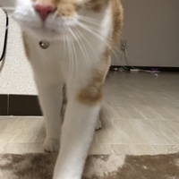 そら