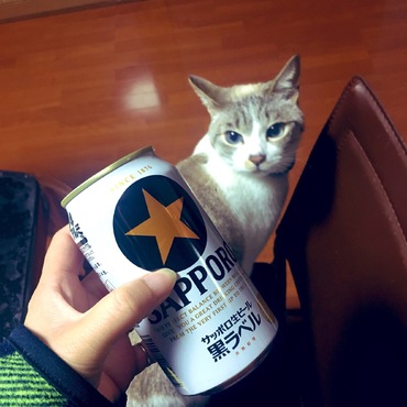 乾杯★