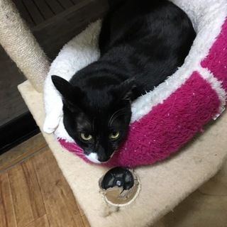 ありがとうございました