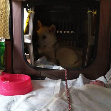 とりあえず戻ってもらいました。