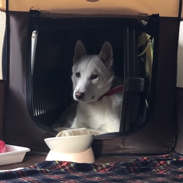 2週間程してこの可愛い表情