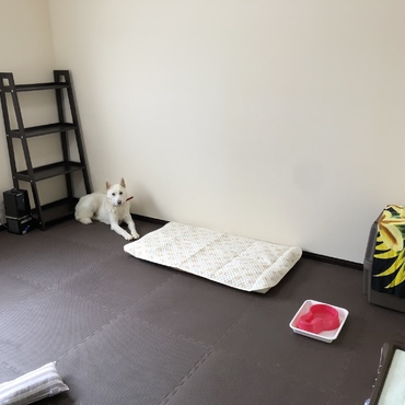 3週間経って二間続きの部屋を半分リムにプレゼントしました。