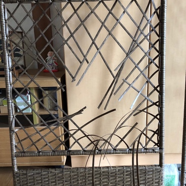 ２日後、仕切りは破壊され、野性の素晴らしさを痛感…。