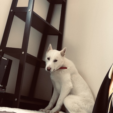 １ヶ月経ちました〜。少しは優しいお顔に？