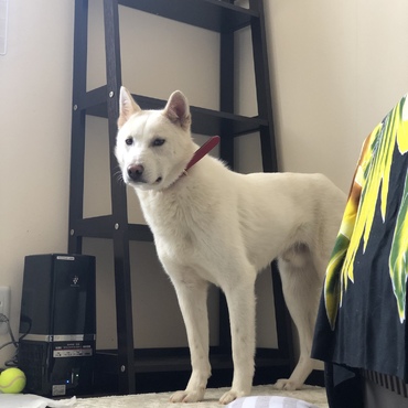 4/20かっこいい立ち姿✨