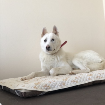 おちゃめなお顔も