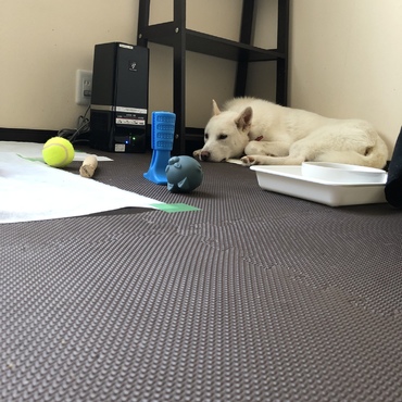 ゆったりしてくれてる⁉️