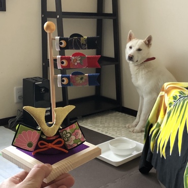 初めての男の子✨端午の節句用に