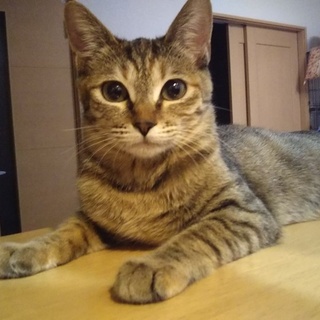 小柄な麦わらの女の子　みく