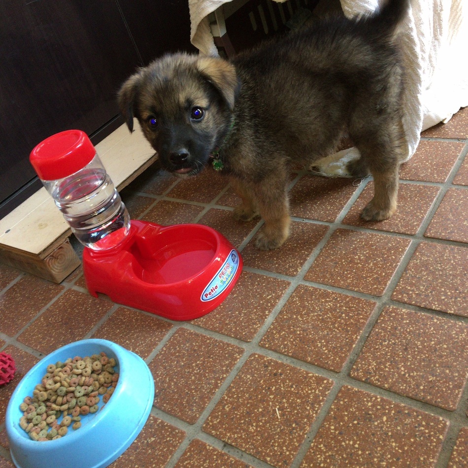 マロのカバー写真
