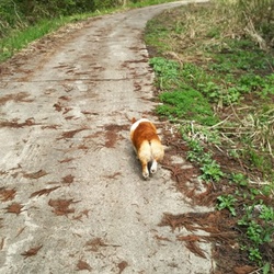 「お久しぶり～」サムネイル2