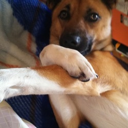 「お久しぶり～」サムネイル3