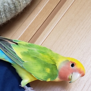 出逢いに感謝します