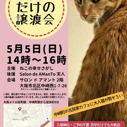 レトロな古民家カフェで 「大人猫だけの譲渡会」