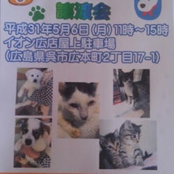 保護犬猫の譲渡会