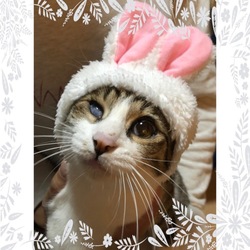 早いもので…こゆき２歳