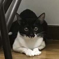 ルーシー