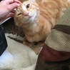 ゴロゴロスリスリ大好き！