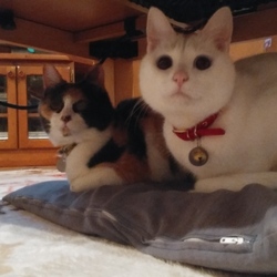 おーい、もう春ですよ(´･ω･｀)