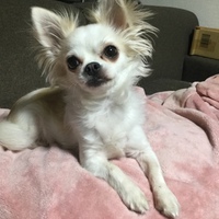 くぅ