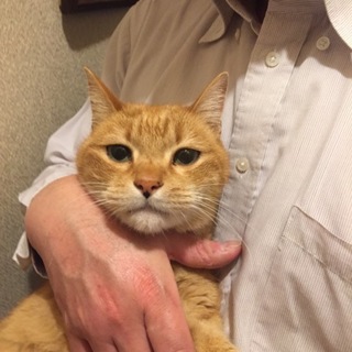 こんな良い子、なかなか居ない！