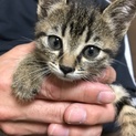 ありがとうございます☆ひよこちゃん