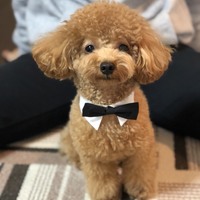 もこ