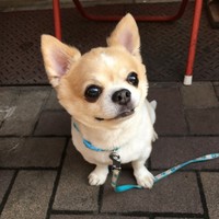 梅太郎