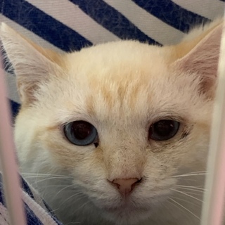 僕の事が大好きな家族が見つかりました☆幸せです。