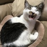 ぶすなところ、撮りたかった（笑）。第二のお気に入りの場所にて。