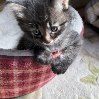 2か月経って元気いっぱい