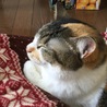 とこ3