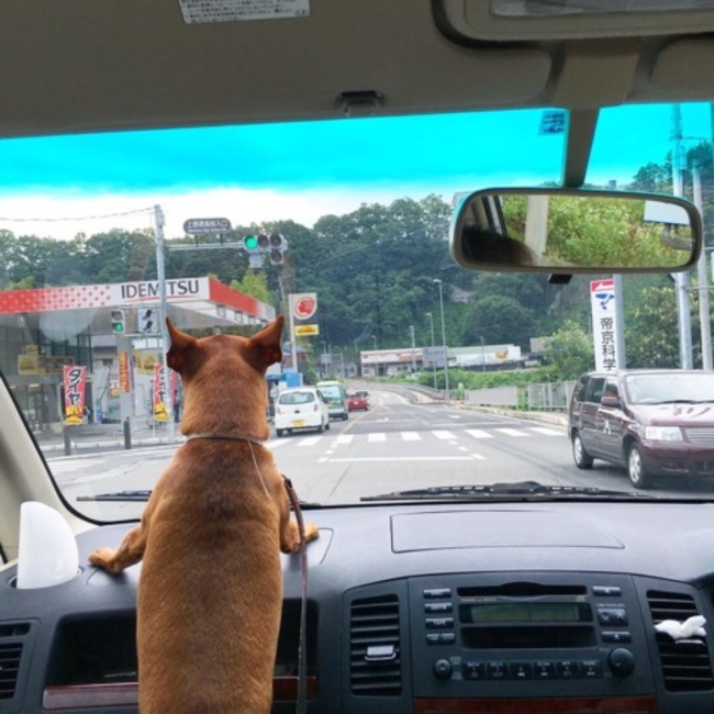 Sasinduのカバー写真