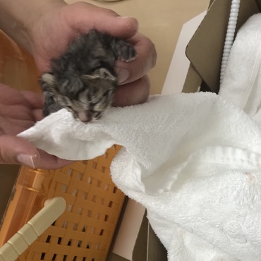 産まれてくれてありがとう