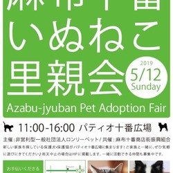 麻布十番いぬねこ里親会